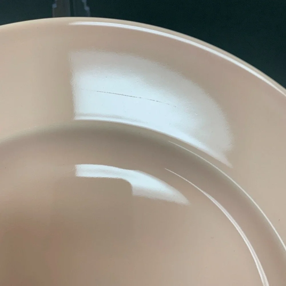 Wedgwood The Sea Glass Collection Chop Charger Dinner Plates Pink Peach Lof of 2